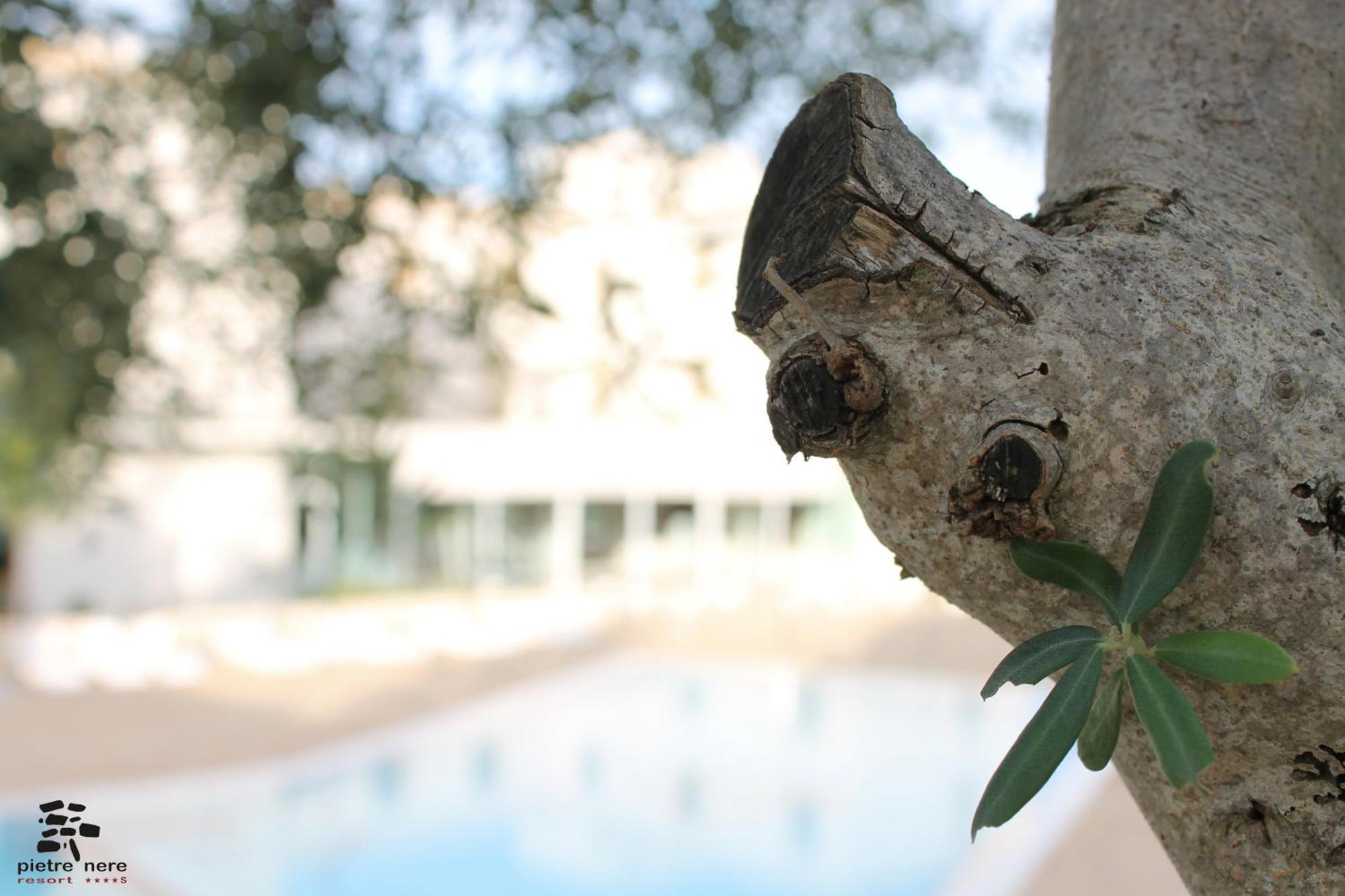 Pietre Nere Resort & Spa Modica Kültér fotó
